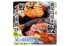 ＜父の日＞うなぎとさつま揚げ詰め合わせセットA6-136F【1559593】