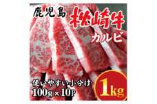 鹿児島 枕崎牛 ＜カルビ 1kg＞ 焼肉 国産和牛 小分け 10P　C0-63【1562437】