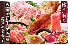 定期便6回配送　満足つめこみセット　GG5-0002 _ 肉 牛肉 豚肉 A5等級 黒毛和牛 サーロインステーキ 本マグロ 中トロ ネギトロ うなぎ かつおのたたき しゃぶしゃぶ 焼肉 【1565563】