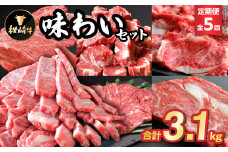 ＜毎月定期便＞枕崎牛味わいセット(赤身ブロック・ステーキ・もも・カルビ等)JJ10-0001 全5回【4059346】