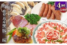 ＜発送月固定定期便＞鹿児島県産黒豚三昧 EE0-0005 全4回_ 肉 豚肉 しゃぶしゃぶ ソーセージ ハンバーグ 豚の角煮 餃子 焼豚 チャーシュー 【4060214】