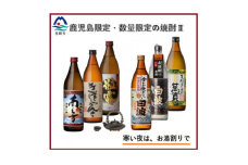 ＜本格焼酎＞＜鹿児島内発売と数量限定・こだわりの焼酎＞900ml×6本　B8-21【1568568】