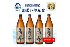 ＜本格焼酎＞きばいやんせ＜鹿児島限定＞ 900ml×4本 A8-117 【1573821】
