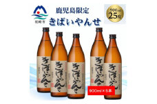 ＜本格焼酎＞きばいやんせ＜鹿児島限定＞ 900ml×5本 B2-6【1573823】