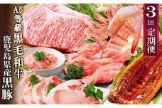 定期便3回配送　黒毛和牛・黒豚&うなぎ DD5-0001_ 肉 豚肉 牛肉 A5等級 黒毛和牛 サーロインステーキ うなぎ ネギトロ 【1573840】