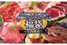 ＜年内発送＞福袋 A5ランク黒毛和牛・うなぎ・黒豚・カツオ 贅沢詰め合わせ B8-24【1580561】