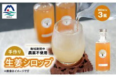 ＜手作り生姜シロップ(180ml×3瓶)無添加・栽培期間中 農薬不使用・新生姜 A3-34F【1166380】
