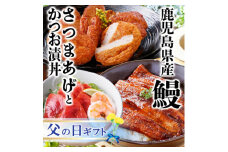 ＜父の日＞鹿児島県産うなぎとさつま揚げとかつお丼セットA4-6F【1605468】