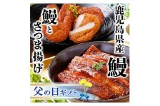 ＜父の日＞鹿児島県産うなぎとさつま揚げ　大サイズ鰻1尾と3種類のさつま揚げ12枚入りA2-16F【1605469】