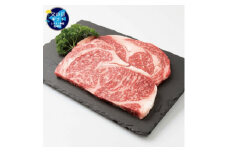 ＜父の日＞枕崎牛 ロースステーキ＜400g＞ 国産和牛 焼肉 B3-63F【1605858】