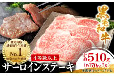 ＜鹿児島県産＞黒毛和牛 サーロインステーキ 約510g (約170g×3枚)(枕崎市) B3-89_肉 牛肉 和牛 黒毛和牛 サーロイン ステーキ 3枚 鹿児島県 枕崎市 人気 おすすめ 送料無料 贈答 ギフト 冷凍 スターゼン【1616196】