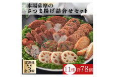 ＜毎月定期便＞本場鹿児島さつま揚げ3セット詰合せ QQ-0009 全3回【4066991】