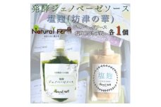 発酵ジェノベーゼソース&塩麹　各1パックセット A1-7【1619065】