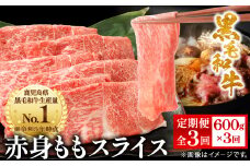 ＜毎月定期便＞鹿児島県産 黒毛和牛 赤身ももスライス 600g(枕崎市)RR-0002 全3回_定期便 肉 牛肉 黒毛和牛 もも スライス 人気 おすすめ 送料無料 贈答 ギフト スターゼン 鹿児島県 枕崎市【4067571】