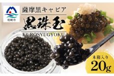 ＜数量限定＞薩摩黒キャビア黒珠玉 鹿児島水産高校 枕崎キャビア＜木箱入り＞＜20g×1箱＞ C3-2【1614940】