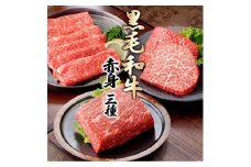 黒毛和牛赤身セット　C0-73【1628783】