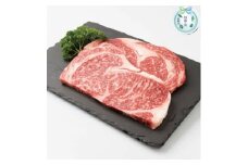 ＜のし付き・お中元＞枕崎牛 ロースステーキ＜400g＞ 国産和牛 焼肉 B3-63C【1633659】