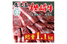 ＜のし付き・お中元＞鹿児島 枕崎牛 上カルビ+カルビ 合計 1.1kg 焼肉 和牛 C7-10C【1633684】