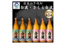 さつま白波&さくら白波900ml　各3本セット　B3-100【1643871】