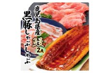 鹿児島W名物!鰻360g(180g×2尾)×黒豚しゃぶしゃぶ用(ロース/赤身)各180g　B4-7【1645667】