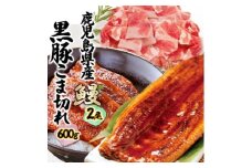鹿児島W名物!鰻360g(2尾)×黒豚小間切れ600g(120g×5P)　人気セット　B3-110【1645668】