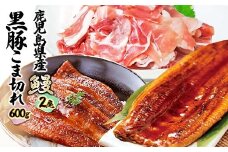 鹿児島W名物!鰻360g(2尾)×黒豚小間切れ600g(120g×5P)　人気セット　B3-110【1645668】