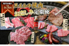 ＜毎月定期便＞黒毛和牛焼肉お楽しみ定期便1.2kg(枕崎市) DD0-0029 全3回_肉 牛肉 黒毛和牛 赤身 定期便 鹿児島県 枕崎 霜降り はらみ フランクフルト A5 冷凍 人気 おすすめ 送料無料【4072115】