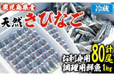 鹿児島県阿久根産！天然きびなごのお刺身(40尾×2パック)と鮮魚(1kg)セット 国産 九州産 鹿児島産 鮮魚 魚介 セット【濱崎魚類】akn023-03