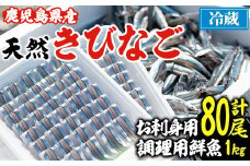 鹿児島県阿久根産！天然きびなごのお刺身(40尾×2パック)と鮮魚(1kg)セット 国産 九州産 鹿児島産 鮮魚 魚介 セット【濱崎魚類】akn023-03