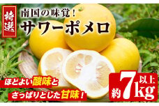 ＜先行予約受付中！2026年2月下旬以降発送予定＞数量限定！特選サワーポメロ(正味約7.0kg～7.5kg・ L～3Lサイズ13～18個) 国産 フルーツ 果物 柑橘類 サワーポメロ 甘味 酸味 デザート おやつ【なかむら果樹園】akn014-02