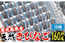 鹿児島県阿久根産 天然きびなごのお刺身(計160尾・40尾×4パック)国産 魚介 魚貝 海産物 鮮魚 冷蔵配送 キビナゴ 海鮮丼 食品 セット 詰め合わせ 水産加工品【濱崎魚類】akn023-02
