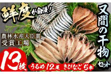 鹿児島県産！干物詰め合わせ(5種)国産 九州産 魚介 ひもの 干物 乾物 鯵 あじ かますな きびなご ウルメ セット 詰合せ【又間水産】akn001-02