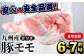 九州産！骨付き豚モモ（生ハム加工・丸焼き用） 約7kg（１本）