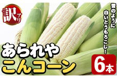 ＜先行予約受付中！2025年10月上旬以降順次発送予定＞訳あり！白いとうもろこし「あられやこんコーン」(6本) 国産 トウモロコシ 玉蜀黍 ホワイト コーン 野菜 糖度 夏 イネ科 数量限定 期間限定 訳アリ 旬 【うとさんち】akn067-14