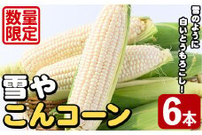 ＜先行予約受付中！2025年10月上旬以降順次発送予定＞白いとうもろこし「雪やこんコーン」(6本) 国産 トウモロコシ 玉蜀黍 ホワイト コーン 野菜 糖度 夏 イネ科 数量限定 期間限定【うとさんち】akn067-13