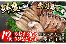 鹿児島県産！干物詰め合わせ・阿久根潮騒セット(7種)国産 九州産 鹿児島産 魚 魚介 干物 ひもの 乾物 鯛 鯵 あじ アジ 鯖 さば サバ かます きびなご セット 詰合せ 【又間水産】akn001-04