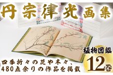丹宗律光画集(全12巻)美術品 丹宗律光 画集 絵画 図鑑 古書 書籍【生涯学習課】akn012-02