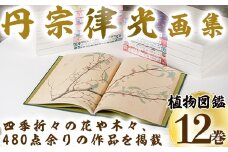 丹宗律光画集(全12巻)美術品 丹宗律光 画集 絵画 図鑑 古書 書籍【生涯学習課】akn012-02