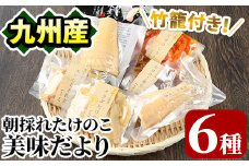 たけのこ美味だより(6種)国産 加工品 惣菜 弁当 おかず 筍水煮 たけのこご飯の素 簡単調理 贈答 ギフト プレゼント【上野食品】akn008-03
