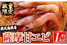 数量限定！鹿児島県阿久根産 薩摩甘エビ(約1kg・40～70尾) 国産 阿久根市産 えび 海老 急速冷凍 冷凍配送 魚貝類 魚介類 海産物 【濱崎魚類】akn023-05