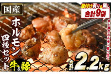 ＜選べる2種＞国産！牛×豚ホルモン食べ比べ4種セット(合計2.2kg)  阿久根市 国産 特産品 小腸 味付 パック 詰め合わせ 詰合せ 炒め物 鍋 モツ おかず お弁当 小分け 個包装 焼肉 akn031-02