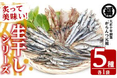 鹿児島県阿久根市産！生干しシリーズ(5種)国産 生干し おつまみ おかず 魚介 魚貝 海産物 干物 ひもの【マルフク川畑水産】akn029-03