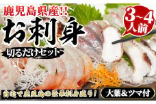鹿児島県産！お刺身切るだけセット(3人～4人前)国産 刺し身盛 魚貝 魚介 海産物 刺身 蛸 たこ 海老 エビ かんぱち タイ 簡単調理 おつまみ セット 小分け 個包装【さるがく水産】akn028-05