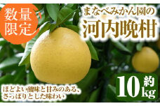 ＜先行予約受付中！2026年3月中旬以降順次発送予定＞まなべみかん園の河内晩柑(約10kg) 国産 鹿児島県産 阿久根市産 柑橘類 かんきつ 晩柑 果物 フルーツ 期間限定 数量限定 デザート かわちばんかん 10kg 贈答用 ギフト【有限会社まなべみかん園】akn034-04