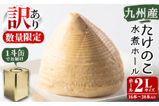 ＜訳あり・業務用＞数量限定！1斗缶たけのこ水煮ホール2L(16本～20本) 国産 九州産 鹿児島県産 筍 竹の子 水煮 簡易包装 酢豚 筑前煮 若竹煮 天ぷら チンジャオロース たけのこご飯 きんぴら【上野食品】akn008-21