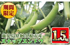 ＜先行予約受付中！2026年1月中旬以降順次発送予定＞数量限定！鹿児島県阿久根市産スナップエンドウ (1.5kg) サラダスナップ 国産 鹿児島県産 阿久根市産 えんどう 野菜 豆 エンドウ スナップえんどう 煮物 和え物 炒め物 豆類【牧内健志】akn050-01
