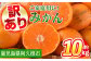 みかん約10kg