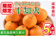 ＜先行予約受付中！2026年3月上旬以降順次発送予定＞数量限定！鹿児島県産 露地栽培の不知火(計約5kg：大将季) 国産 みかん ミカン 柑橘 フルーツ 果物 旬 デザート 数量限定 期間限定 露地 阿久根市産 しらぬい シラヌイ【三笠農業生産】akn051-10