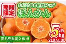 ＜先行予約受付中！2025年12月下旬以降順次発送予定＞数量限定！鹿児島県産 手詰めぽんかん(計約5kg・2L or 3L) 旬 フルーツ 果物 くだもの ポンカン 早生系統 デザート ノーワックス 阿久根市産 期間限定 数量限定 手詰 手作業【三笠農業生産】akn051-01
