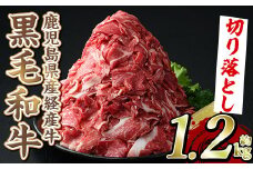 ＜選べる4種＞黒毛和牛鹿児島県産(経産牛)切り落とし(計1.2kg・600g×2P) 国産 牛肉 肉 冷凍配送 小分け 個包装 セット しゃぶしゃぶ すき焼き バーベキュー BBQ 鍋 akn042-04